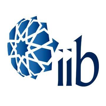 iib - international investment bank