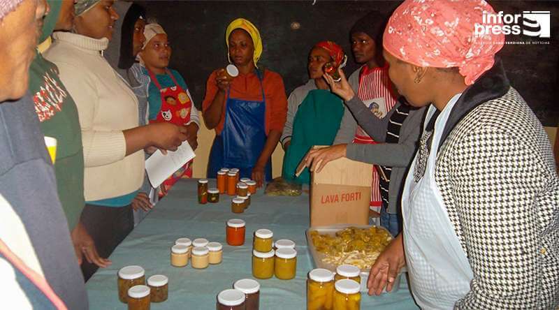 Porto Novo: MAA financia projetos para promover emprego na camada feminina
