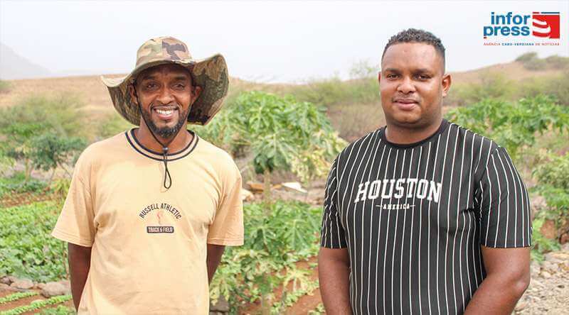 São Vicente: Jovens apostam na agricultura como alternativa de emprego e abastecem casas comerciais